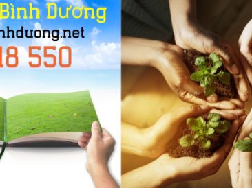 Dịch vụ hút hầm cầu Bình Dương